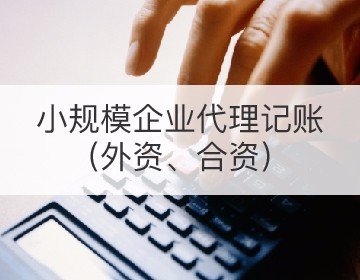 小規(guī)模企業(yè)代理記賬（外資、合資）