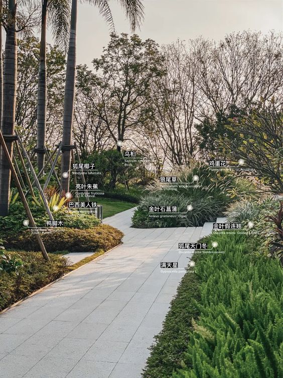 植物景觀設(shè)計.jpg