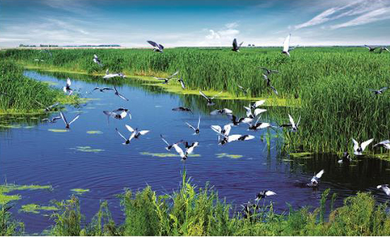 自然保護(hù)區(qū)的有效監(jiān)控管理