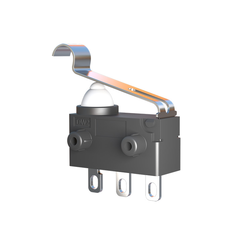 中國臺(tái)灣ZIPPY新巨防水微動(dòng)開關(guān)DW2行程限位汽車尾門 充電槍開關(guān)