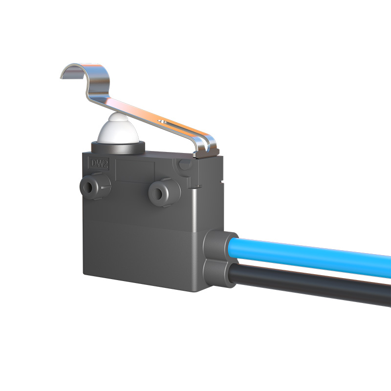 中國臺(tái)灣ZIPPY新巨防水微動(dòng)開關(guān)DW2行程限位汽車尾門 充電槍開關(guān)