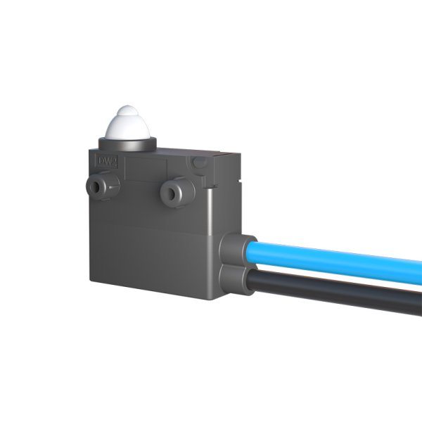 中國臺(tái)灣ZIPPY新巨防水微動(dòng)開關(guān)DW2行程限位汽車尾門 充電槍開關(guān)