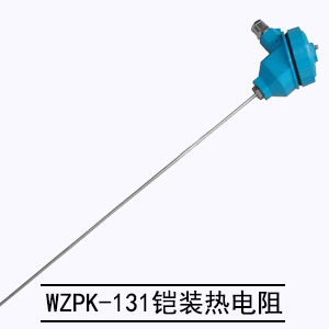 WZPK-131鎧裝熱電阻