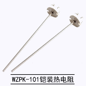 WZPK-101鎧裝熱電阻