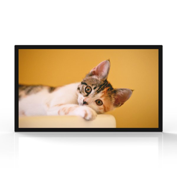 43寸壁掛廣告機(jī)