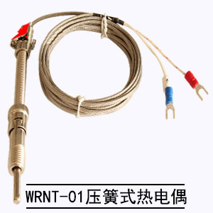 WRNT-01壓簧式高精密熱電偶