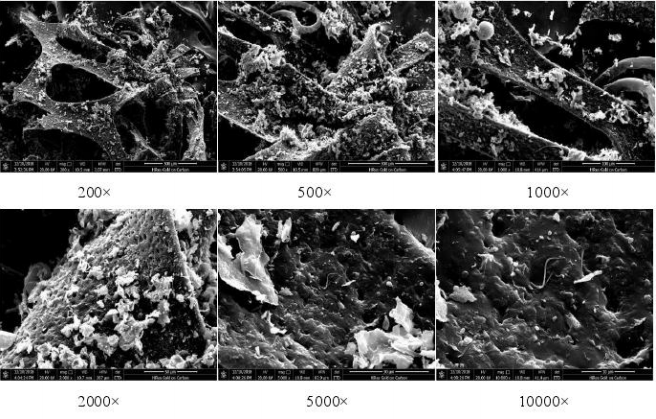 生物聚氨酯親水海綿填料