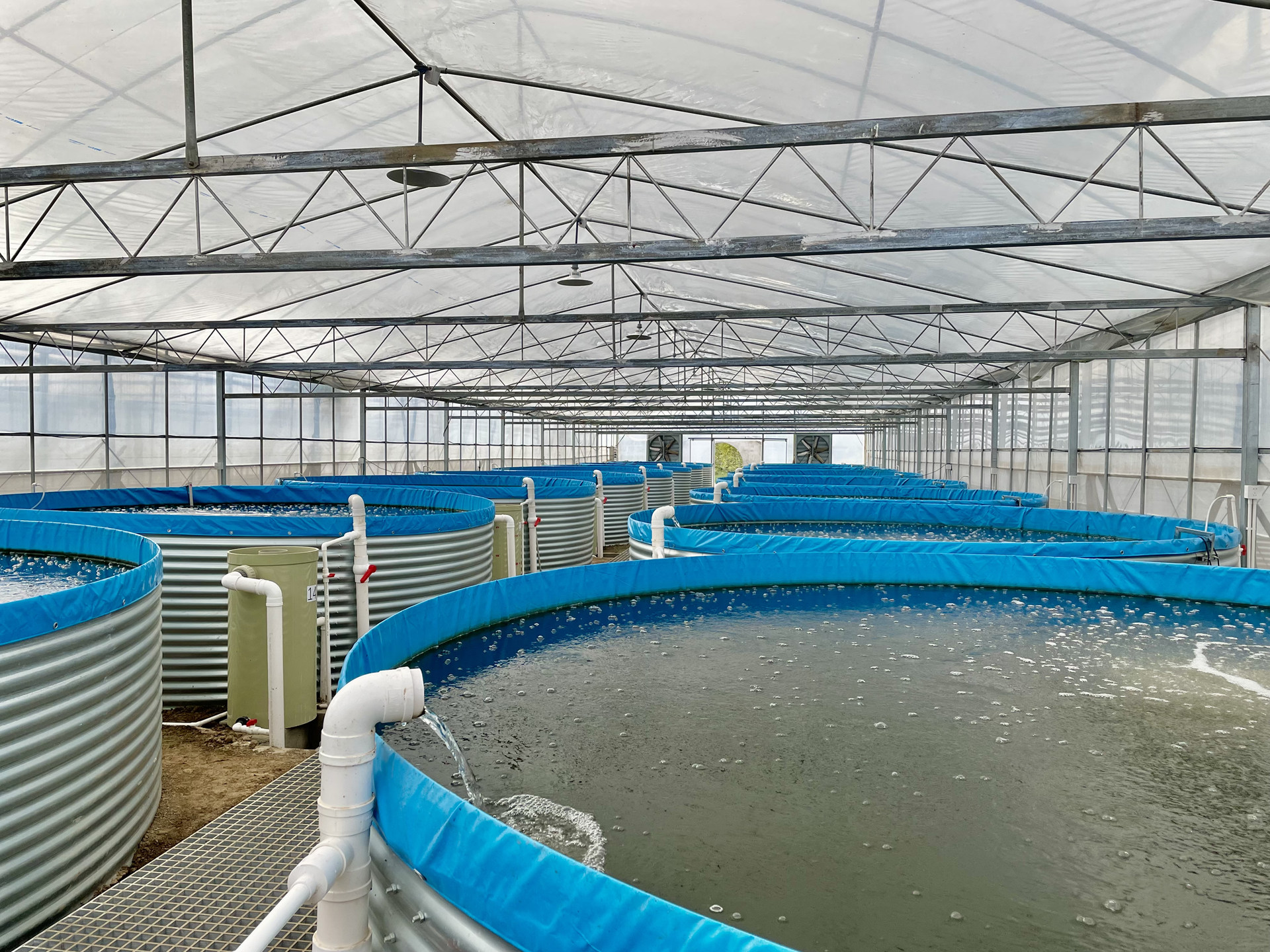 循環(huán)水養(yǎng)殖項目