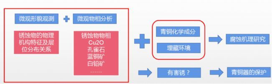 徕卡显微镜图片 5.png