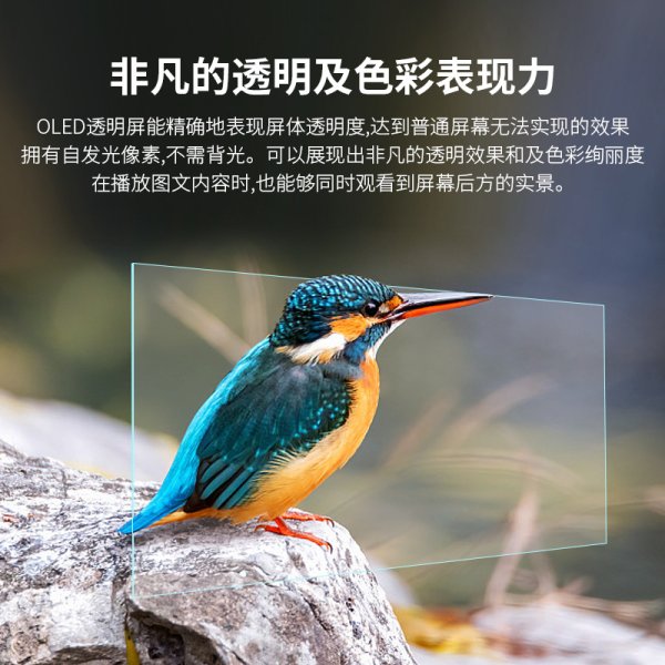 32寸/55寸OLED透明屏