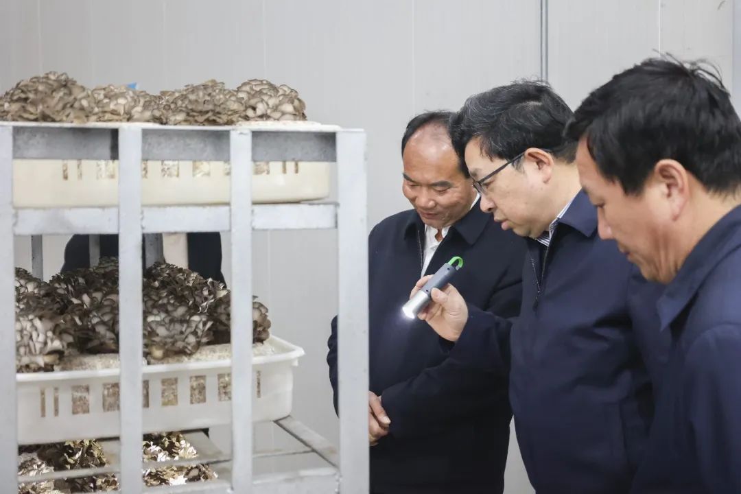 考察永大菌业公司.jpg