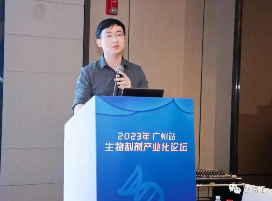 王.jpg