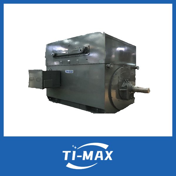 全密型-TEWAC系列高壓電機(jī)AEZW