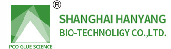 Shanghai Hanyang Logo
