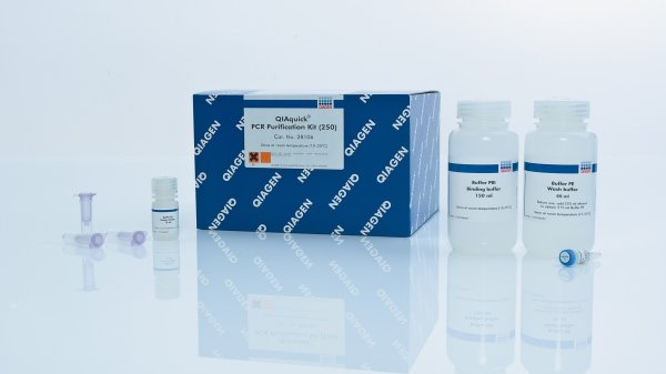 QIAquick PCR Purification Kit（28106）