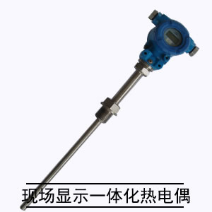 現(xiàn)場(chǎng)顯示一體化熱電偶
