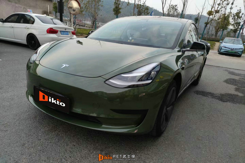 PET武士綠--特斯拉Model3