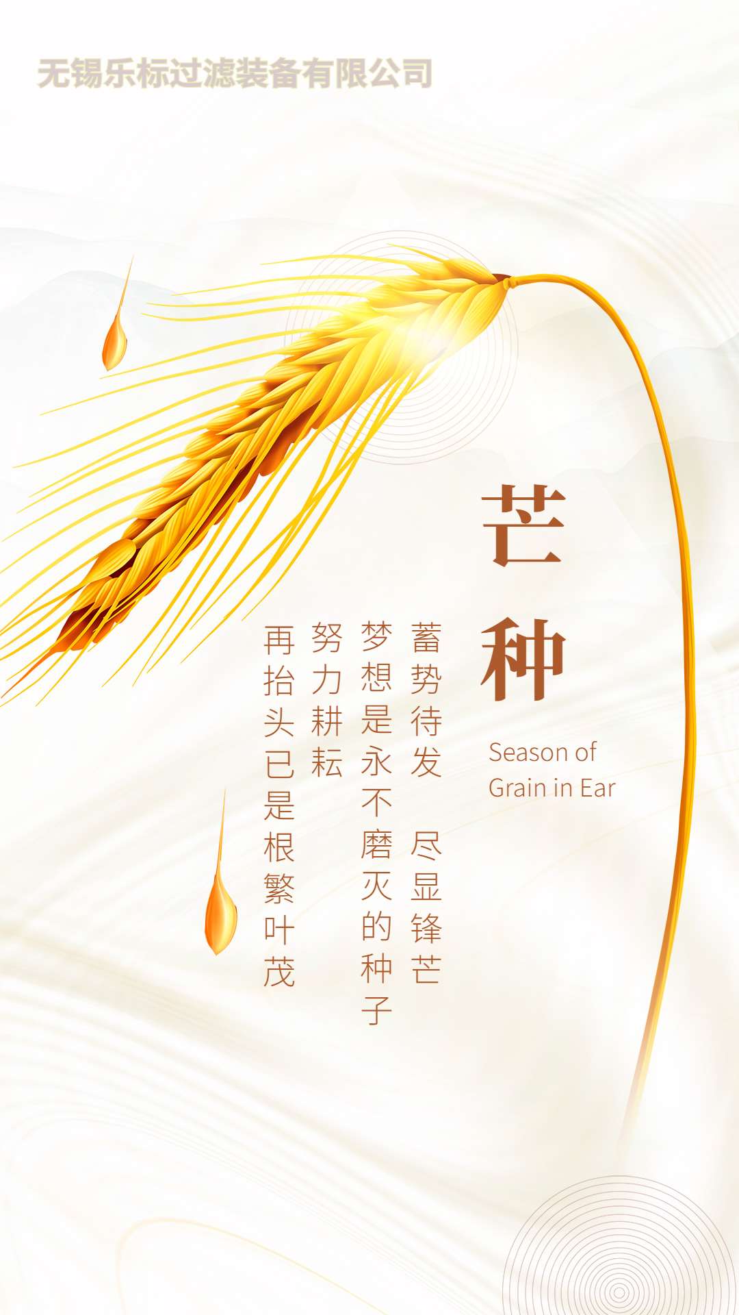 芒種節(jié)氣海報(bào)_Jc.jpg