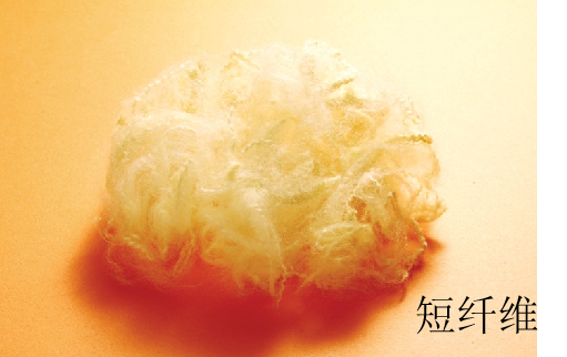 對(duì)位芳綸