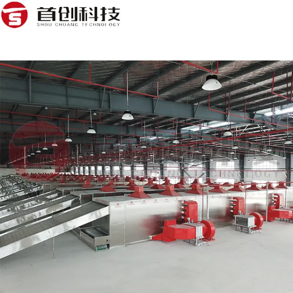 陳皮烘干設(shè)備-大型陳皮干燥設(shè)備-多功能陳皮干燥機(jī)