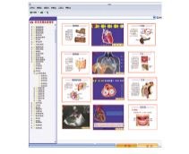 醫(yī)學(xué)多媒體素材庫+教學(xué)平臺(tái)