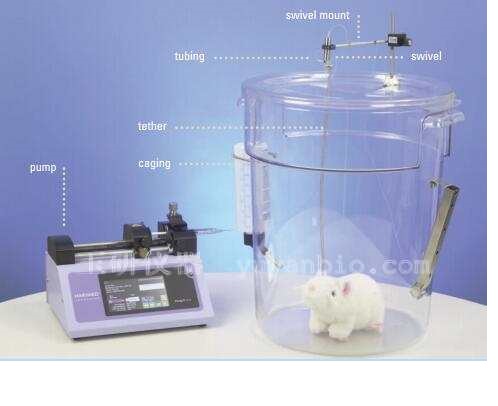 大小鼠連續(xù)給藥裝置