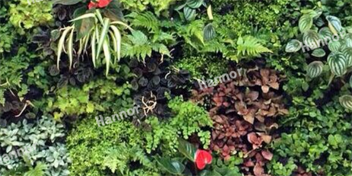 AG一飞冲天·未来修建｜绿色品质生涯是一种态度