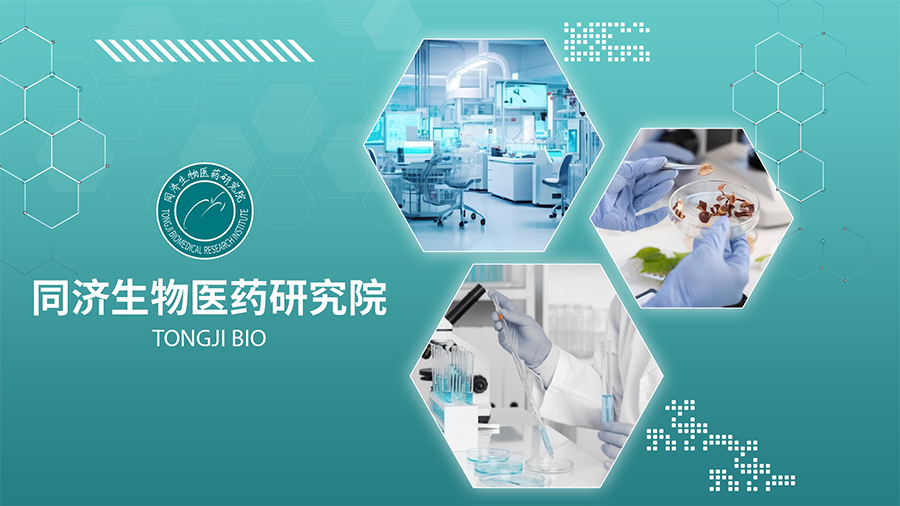 同濟生物醫(yī)藥研究院