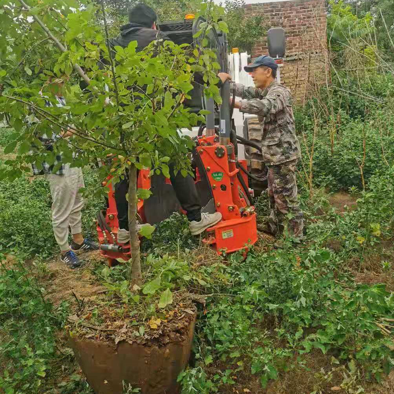 定州市大辛莊鎮王習營村村民會