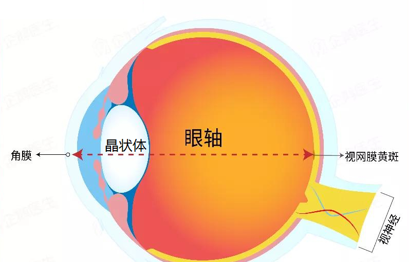 哺光儀推廣思維.png