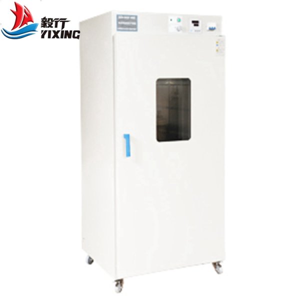 250℃電熱鼓風(fēng)干燥箱BGZ-140