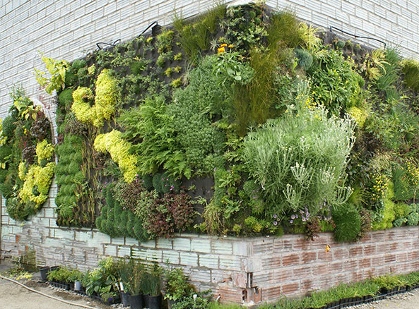 都会里的笔直森林，，体验既现代又兼具自然的生涯方式