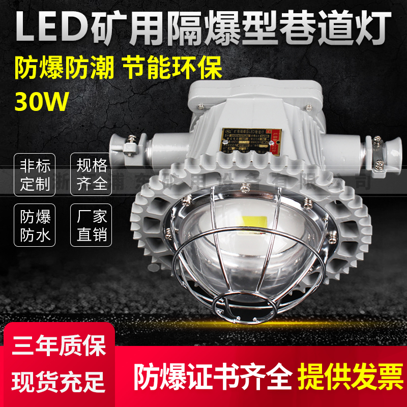 LED礦用隔爆型巷道燈-防爆防潮,節(jié)能環(huán)保-30W