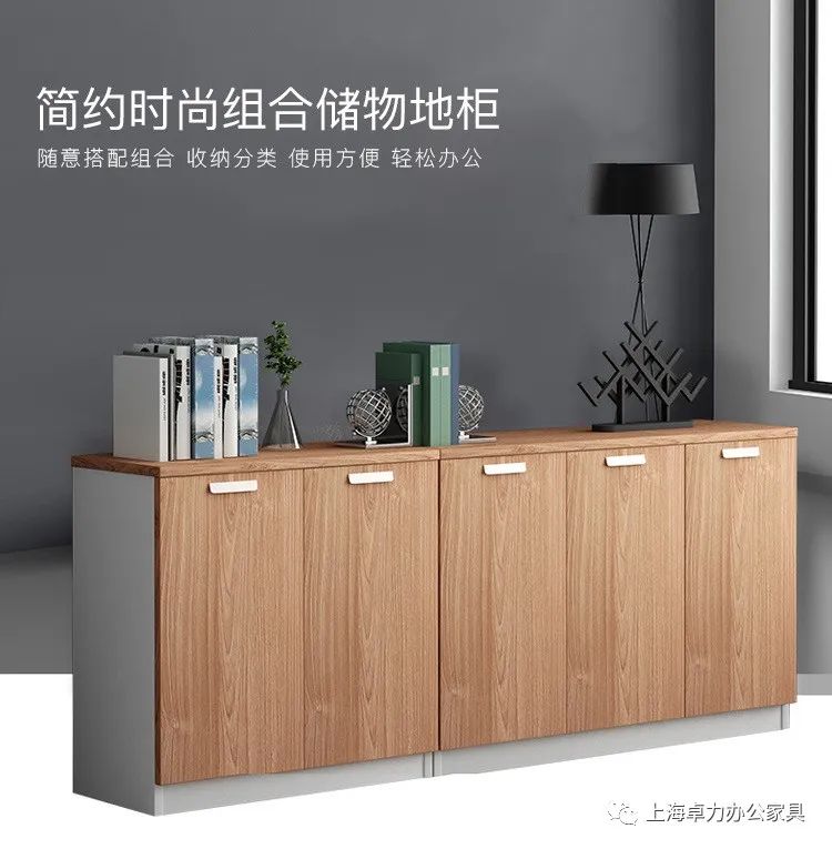 文件柜（簡約時尚組合儲物地柜）