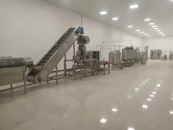 菠蘿加工生産線