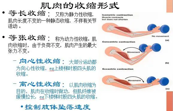 懸吊康復(fù)系統(tǒng).jpg