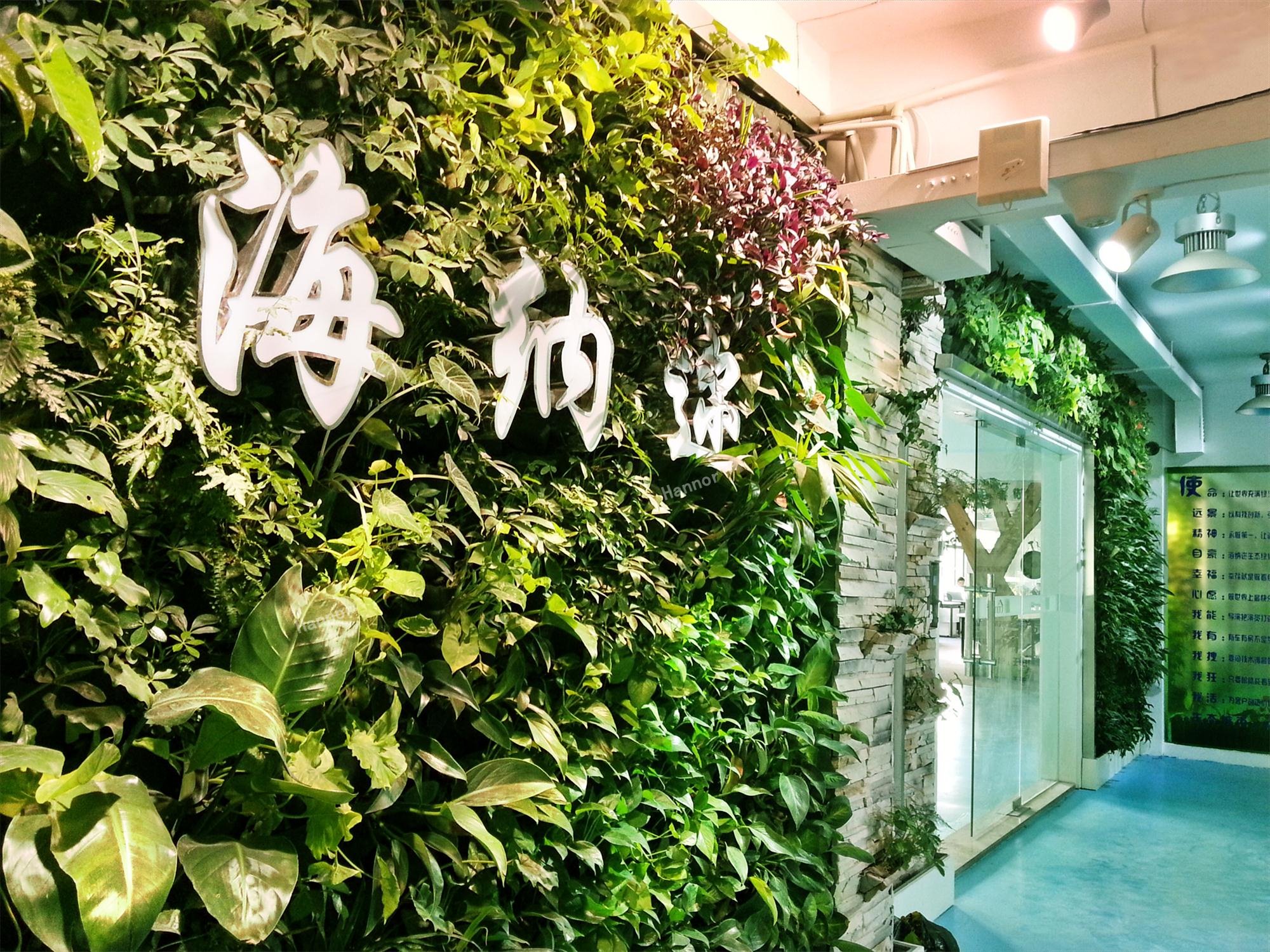 AG一飞冲天 | 植物墙美化情形的好辅佐