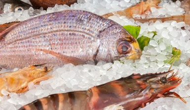 酸性電解水對(duì)冷藏帶魚(yú)保鮮效果的影響研究