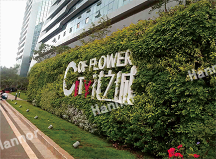 七彩云南花之城