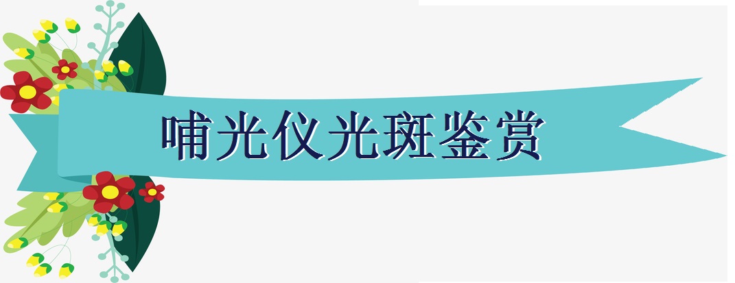 pic.51yuansu3.jpg