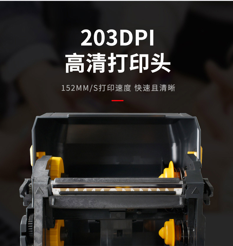 zd888t_09.jpg