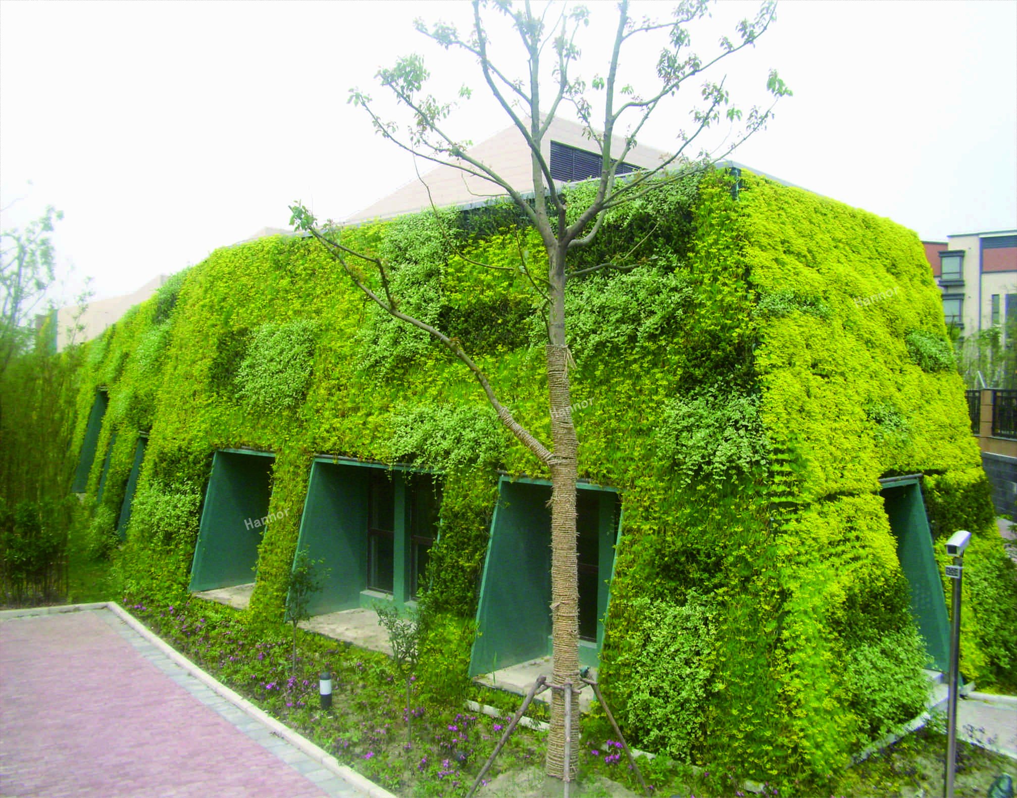 项目介绍 | 朱家角幼儿园