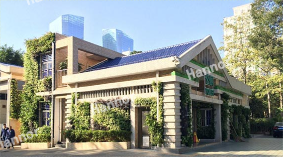 项目先容 | 深圳振华西生态公厕植物墙