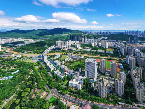 西麗大學(xué)城項(xiàng)目