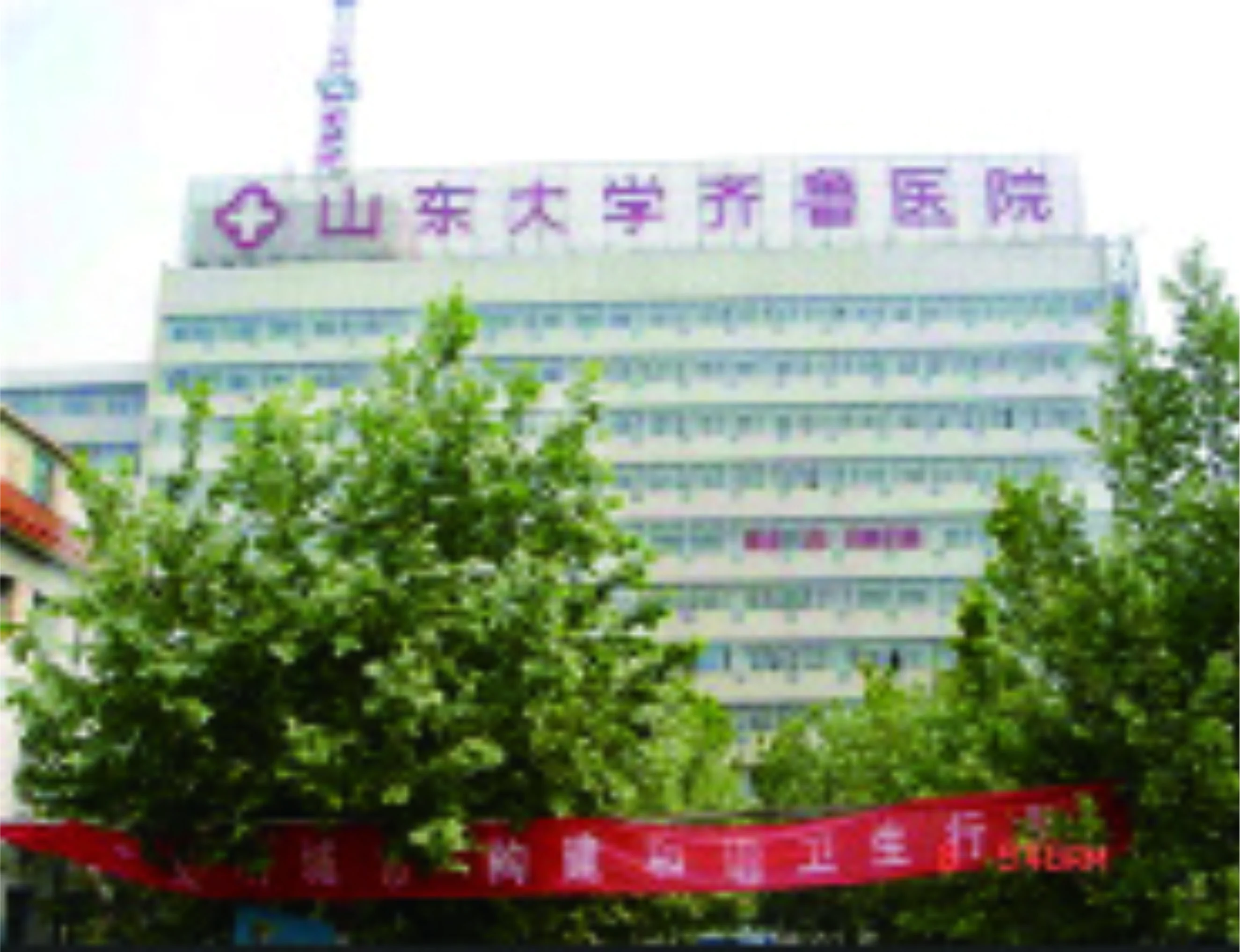 山東大學(xué)齊魯醫(yī)院