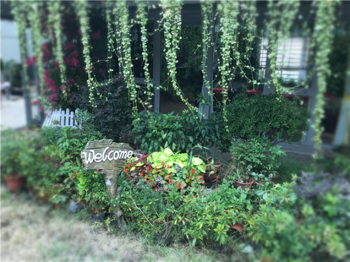 氧森态科技|生态都会康健家