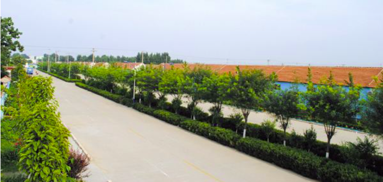 淄博環(huán)衛(wèi)公司項目