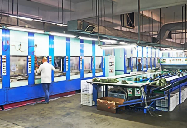 Design team