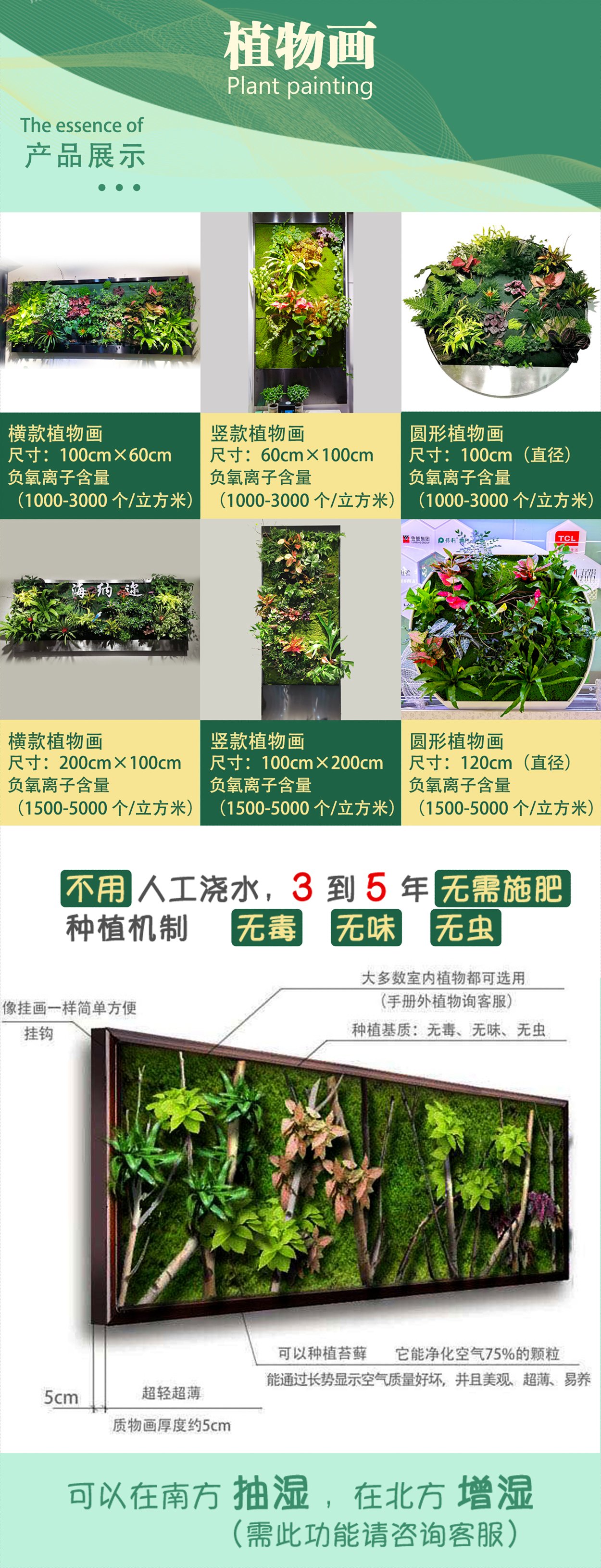 植物画首页.jpg