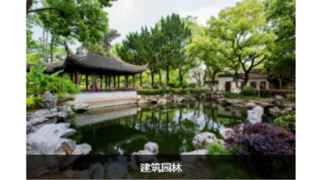 園林綠化 園林綠化